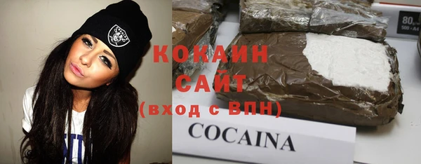 ECSTASY Алзамай