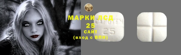 крисы Алексин