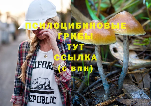ECSTASY Алзамай